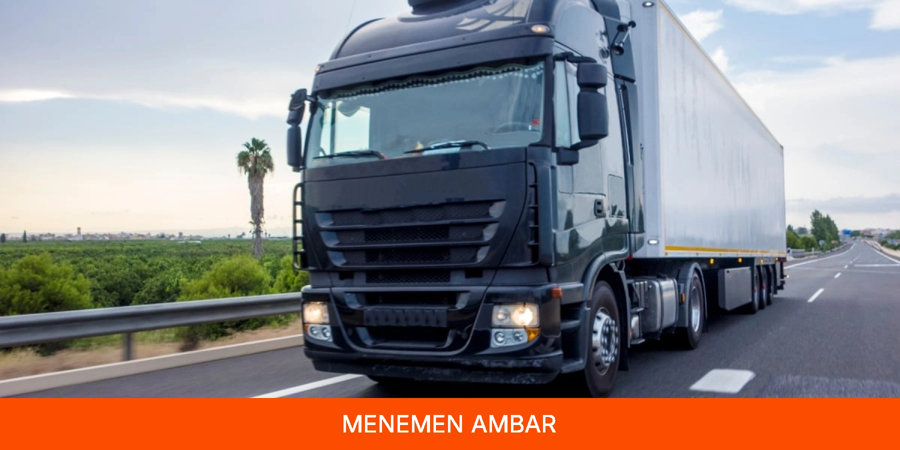 Menemen Ambar